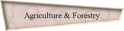Agriculture & Forestry