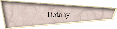 Botany