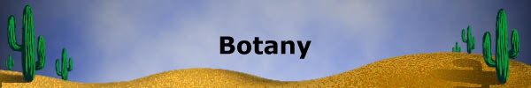 Botany