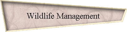 Wildlife Management