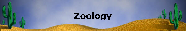 Zoology