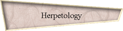 Herpetology